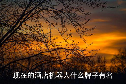 旅行的機(jī)器人，這是什么動(dòng)漫