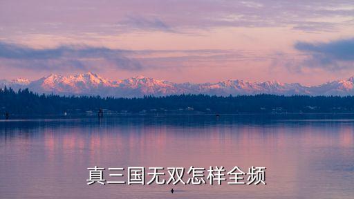 真三國(guó)無(wú)雙怎樣全頻