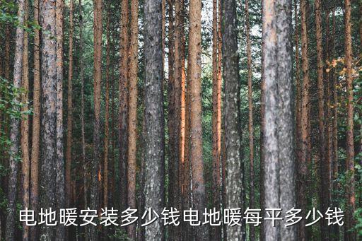 電地暖安裝多少錢(qián)電地暖每平多少錢(qián)