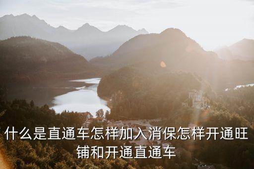 國(guó)是直通車(chē)，海外直通車(chē)是什么意思