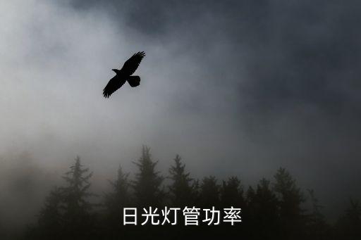 日光燈管功率