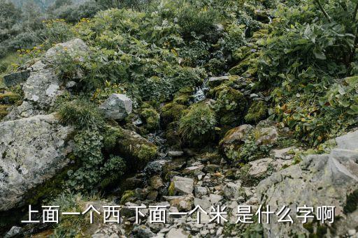 西米粟，古時(shí)候的西米為什么是粟