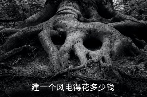 風電機組價格，風力發(fā)電機造價多少一臺