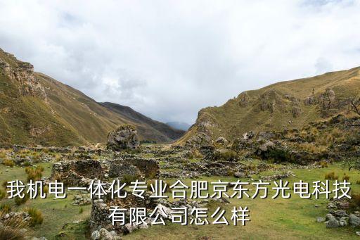 合肥半導(dǎo)體，我機(jī)電一體化專業(yè)合肥京東方光電科技有限公司怎么樣