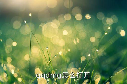 qqdmg怎么打開