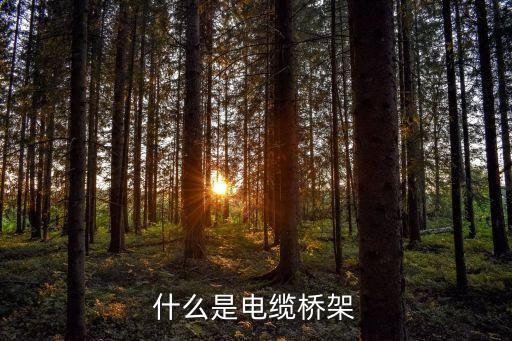 什么是電纜橋架