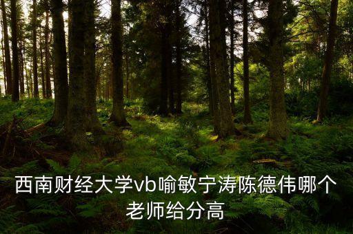西南財(cái)經(jīng)大學(xué)vb喻敏寧濤陳德偉哪個(gè)老師給分高