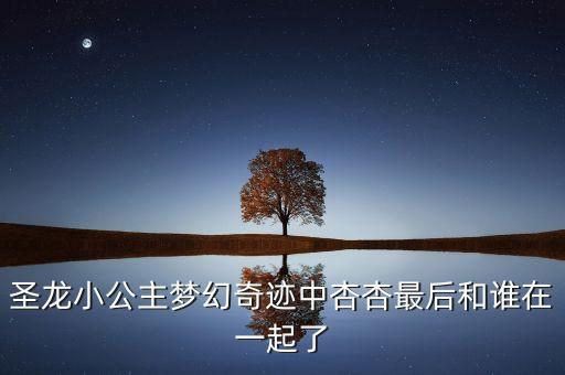 夢幻奇跡，圣龍小公主夢幻奇跡中杏杏最后和誰在一起了