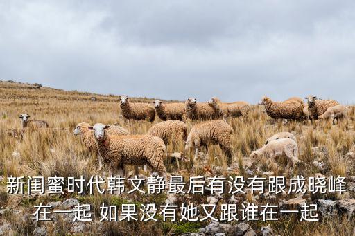 新閨蜜時(shí)代韓文靜最后有沒(méi)有跟成曉峰在一起 如果沒(méi)有她又跟誰(shuí)在一起