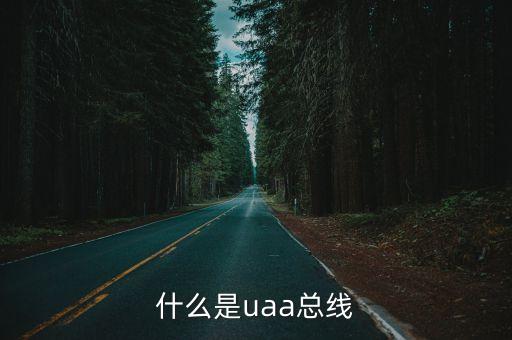 uaa，求知識UAA是什么呢