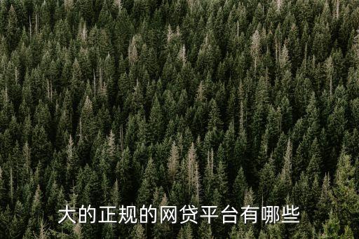 大的正規(guī)的網(wǎng)貸平臺(tái)有哪些