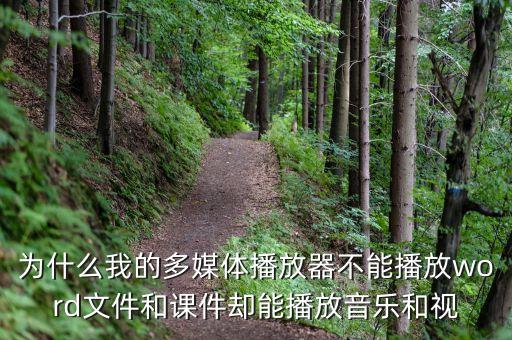 為什么我的多媒體播放器不能播放word文件和課件卻能播放音樂和視