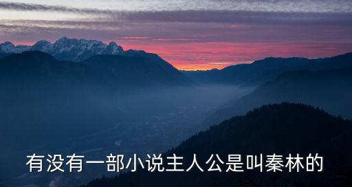 秦林，qin lin 拼音有什么詞語
