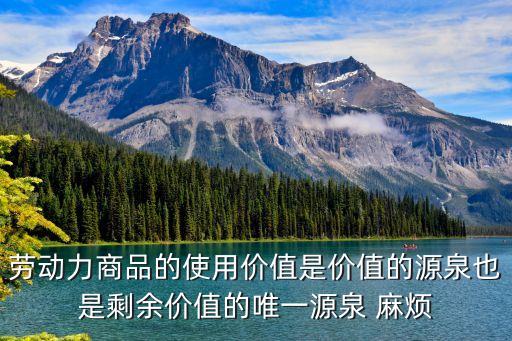 勞動力商品的使用價值是價值的源泉也是剩余價值的唯一源泉 麻煩