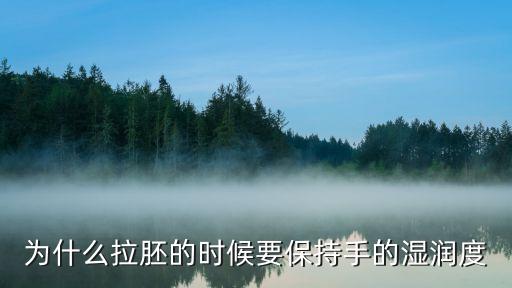 為什么拉胚的時(shí)候要保持手的濕潤(rùn)度