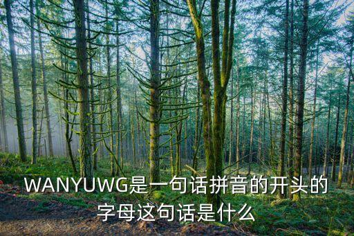WANYUWG是一句話拼音的開頭的字母這句話是什么