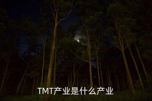 TMT產(chǎn)業(yè)是什么產(chǎn)業(yè)