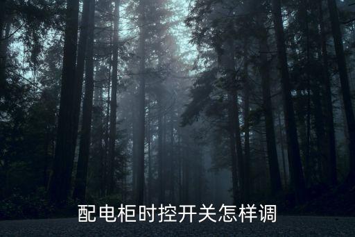 時控開關(guān)怎么設(shè)置，NKG1時控開關(guān)怎么設(shè)置