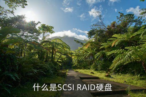 什么是SCSI RAID硬盤