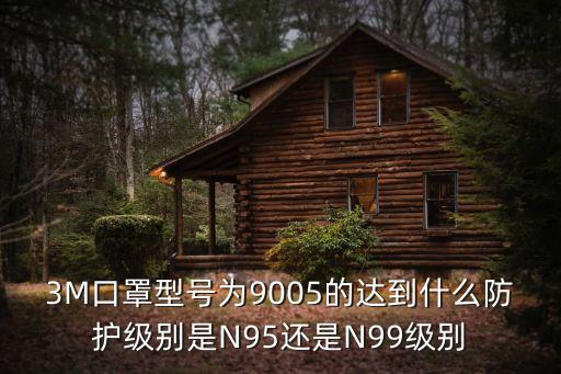 3M口罩型號(hào)為9005的達(dá)到什么防護(hù)級(jí)別是N95還是N99級(jí)別
