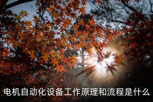 電機(jī)自動化設(shè)備工作原理和流程是什么