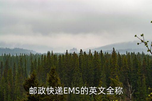 郵政快遞EMS的英文全稱(chēng)