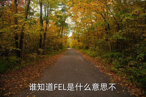 fel，誰(shuí)知道FEL是什么意思不