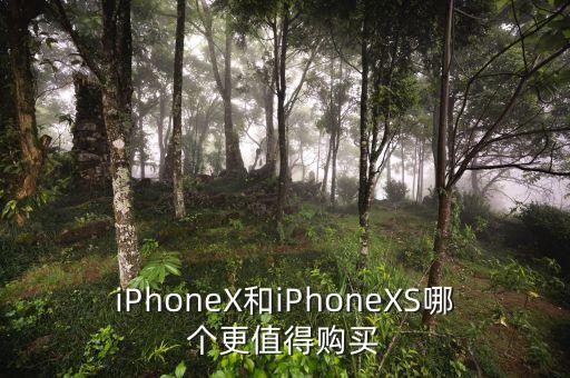x和xs區(qū)別，蘋果x和xs那個好
