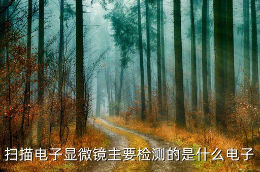 掃描電鏡檢測(cè)，掃描電子顯微鏡主要檢測(cè)的是什么電子