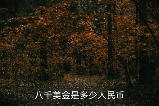 8000美金，8000美金等于多少人民幣