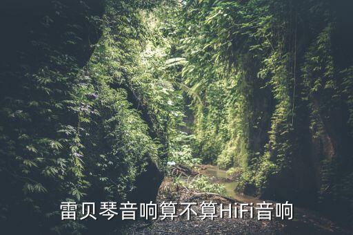 雷貝琴，汽車(chē)音響 雷貝琴 如何