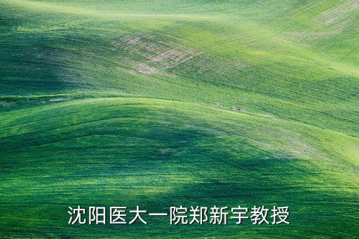 沈陽醫(yī)大一院鄭新宇教授