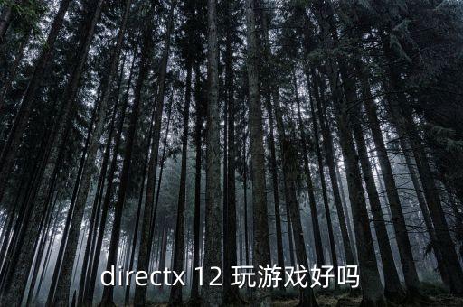 directx 12 玩游戲好嗎