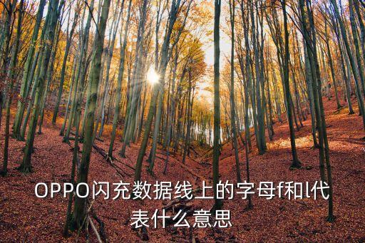 OPPO閃充數(shù)據(jù)線上的字母f和l代表什么意思