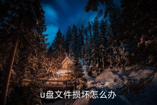 u盤壞了怎么辦，u盤文件損壞怎么辦
