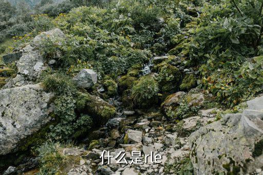 rle，怎樣把JPG圖片轉(zhuǎn)換成rle格式