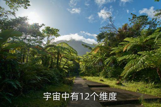 宇宙中有12個(gè)維度