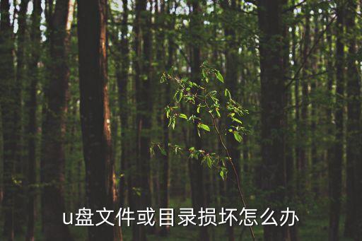 文件或目錄損壞，文件或目錄損壞怎么解決