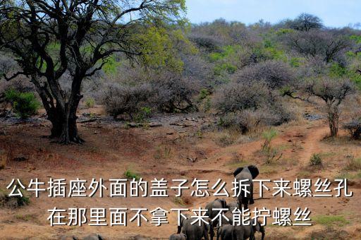 公牛插座外面的蓋子怎么拆下來螺絲孔在那里面不拿下來不能擰螺絲