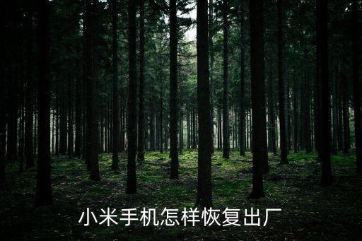 小米手機(jī)怎樣恢復(fù)出廠