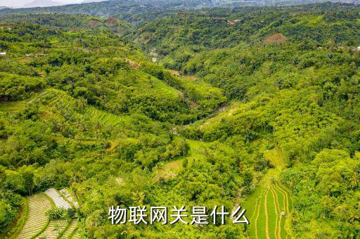 物聯(lián)網(wǎng)卡是什么，電信10694是什么卡