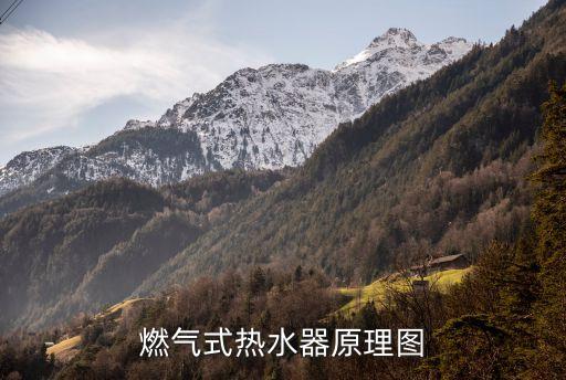燃?xì)鉄崴鲌D片，燃?xì)鉄崴黠L(fēng)機(jī)有多少轉(zhuǎn)