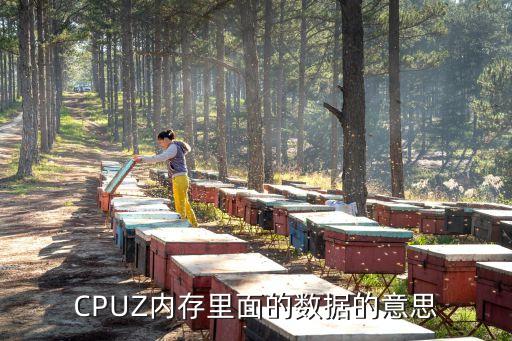 CPUZ內(nèi)存里面的數(shù)據(jù)的意思