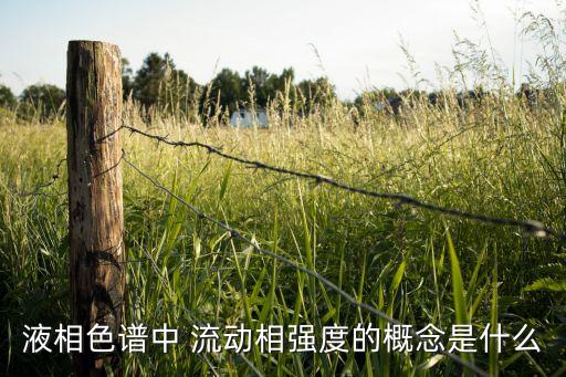 流動相，什么叫流動相什么又叫固定相