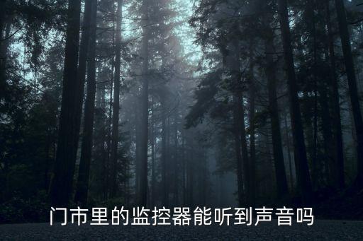 門市里的監(jiān)控器能聽到聲音嗎
