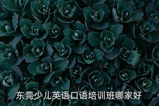 東莞少兒英語口語培訓(xùn)班哪家好