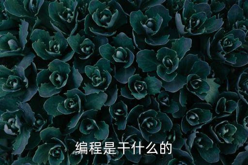 編程是干什么的