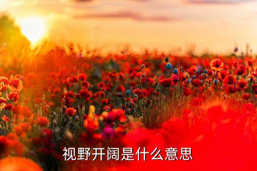 視野開闊，視野開闊是什么意思