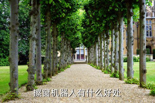 擦窗機(jī)器人，擦窗機(jī)器人有什么好處