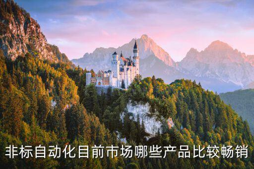 非標(biāo)自動化目前市場哪些產(chǎn)品比較暢銷